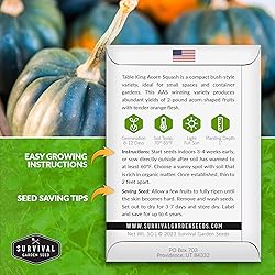 Table King Acorn Squash Seed for Planting - 5