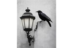 Beautiful Crow Stamped Cross Stitch Kit 11CT For Adults Beginners DIY Needlecraft Embroidery Home Decor 12×16 inches