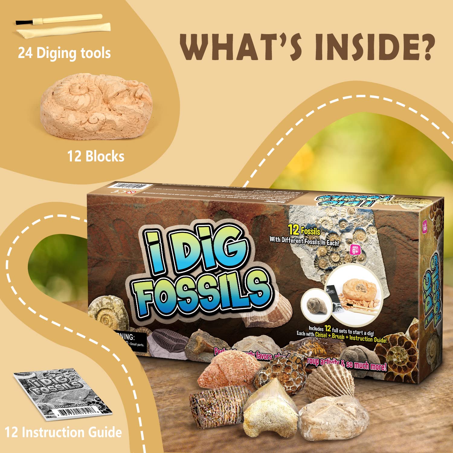 Byncceh Fossil Dig Kit - Educational STEM Science Toys for Kids Ages 6+ - Dig Up 12 Fossils Real & Dinosaur Bones Rocks - Digging Activities Kits - Paleontology, Discovery Gifts for Boys & Girls