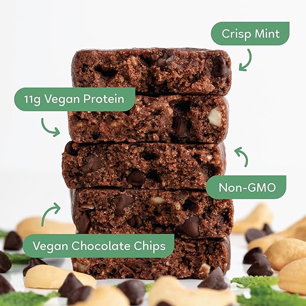 GOMACRO MACROBAR ORGANIC VEGAN PROTEIN BARS – MINT CHOCOLATE CHIP, 2.3 OUNCE BARS, (PACK OF 12)