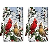 Pintukee Winter Cardinal Birds Kitchen Dish Towels for Drying Dishes Set of 2 Christmas Holiday Decor Cardinal Gifts Absorbent Tea Towels for Kitchen Housewarming Farmhouse Hand Drying Cloth