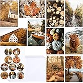 FYSUIMU 30 Packs Fall Scenes Greeting Cards Thanksgiving Realistic Pumpkin Leaves Nature Landscape Blank Note Cards with Envelopes and Stickers for Autumn Holidays Party, 4 x 6 Inch