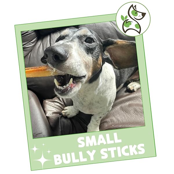 NATURE GNAWS SMALL BULLY STICKS FOR DOGS 5-6″ (25 COUNT) – LONG LASTING FOR LIGHT CHEWERS AND PUPPIES – NATURAL THIN BEEF DOG CHEW BONES – RAWHIDE FREE