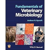 健康・医学 Nutritional Epidemiology 81MjKnXGyEL.jpg_BO30,255,255,