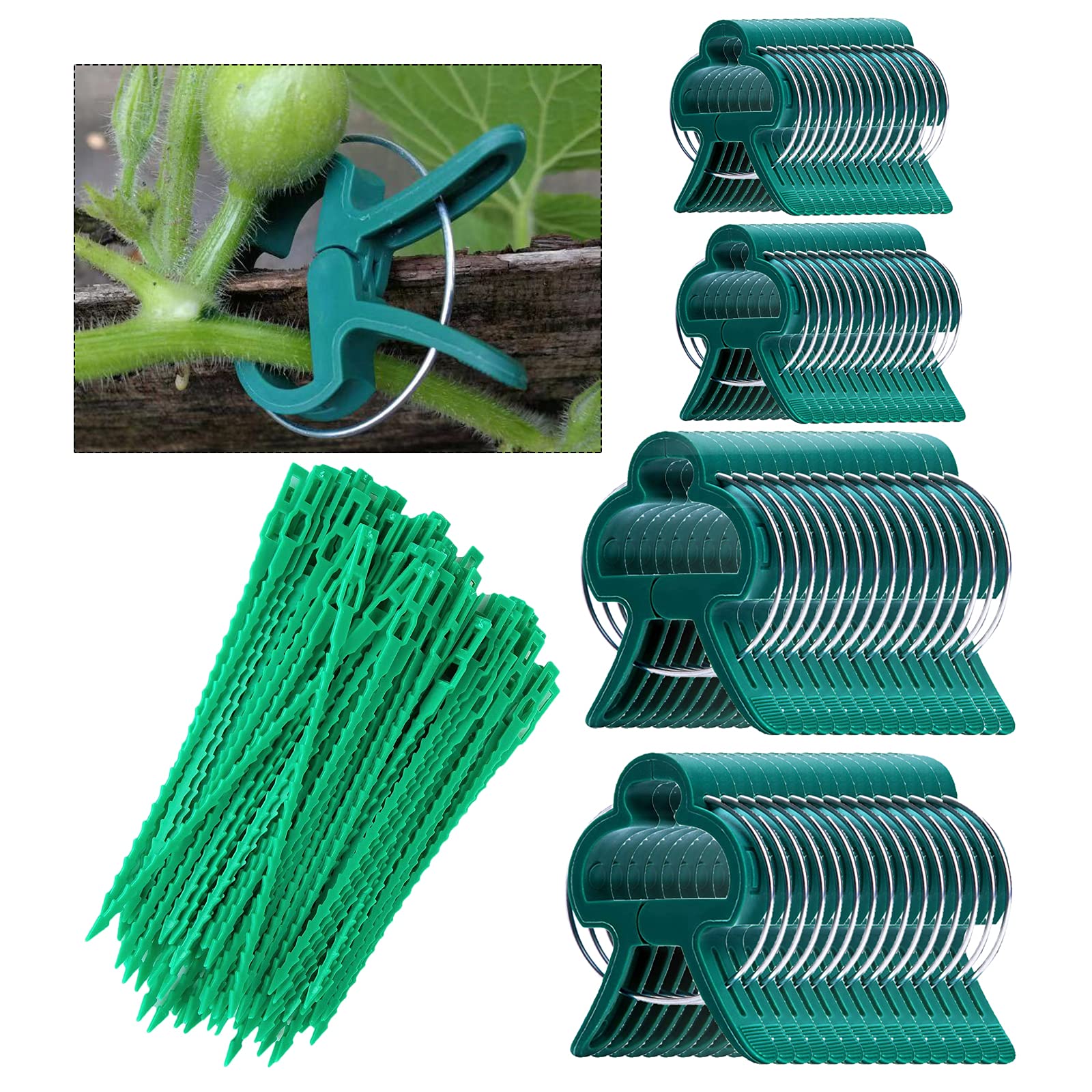 Taasmoog Garden Plant Clips, 60pcs Adjustable Support Plant Clips and 50pcs Plant Twisted Ties Reusable Plant Clips for Garden Vegetables and Flower Plants (2 Sizes)