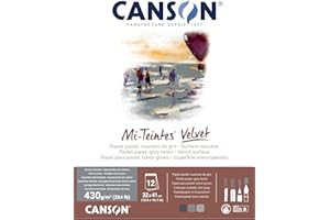 Canson Mi-Teintes Velvet Drawing Paper Pad, Grey Tones, Assorted Colors, Glue Binding, (260lb/430g), 12 Sheet, 12.6x16.1 inch, 1 Count