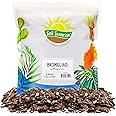 Bromeliad Plant Potting Soil Mix (8 Quarts), Container Gardening Tropical Houseplant Soil