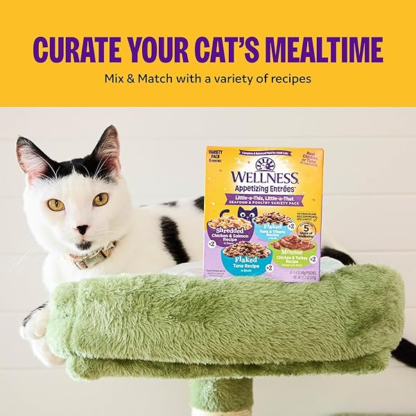 WELLNESS APPETIZING MOUSSE FLAKED VARIETY PACK ADULT WET CAT FOOD, NATURAL, PROTEIN RICH, GRAIN FREE, WHIPPED WONDERS, 2.8 OZ, PACK OF 8 POUCHES