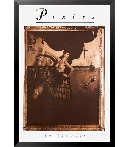 Amazon.com: BUY ART FOR LESS Officially Licensed Pixies - Surfer
