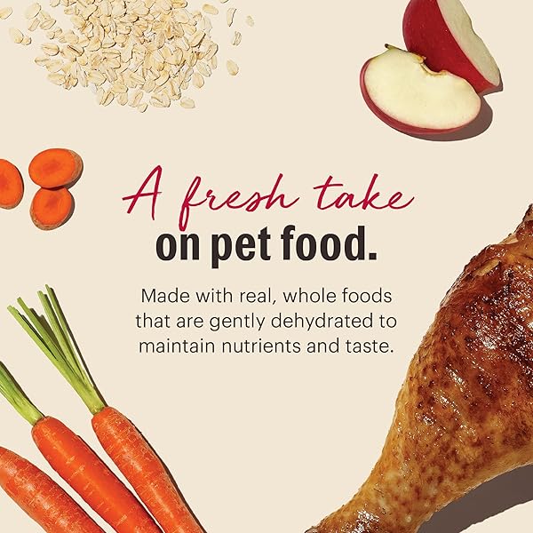 THE HONEST KITCHEN HUMAN GRADE WHOLEMADE™ DEHYDRATED DOG FOOD, WHOLE GRAIN DOG FOOD, TURKEY, 2 LB BAG