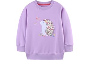 AIWUHE Toddler Boys Girls Sweatshirt Crewneck Pullover Long Sleeve Tops Blouse Cotton T-Shirt Fall Winter Clothes 2-6Y