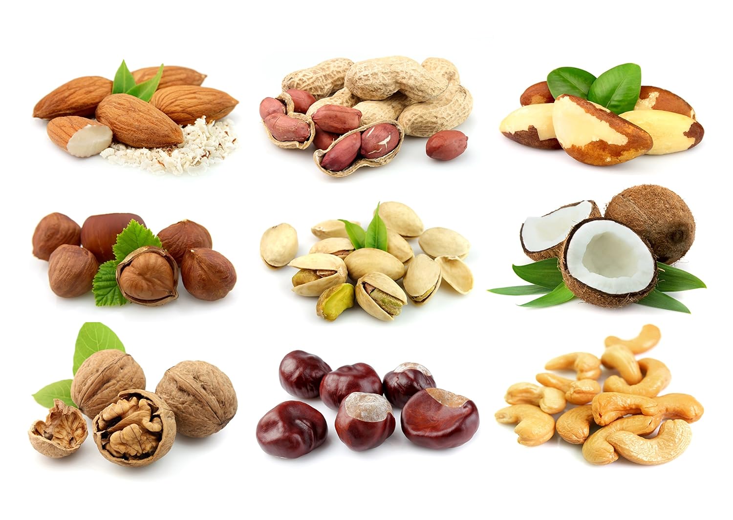 Tallenge Art For Kitchen Healthiest Dried Fruits Medium Size Rolled Digital Art Print On Photographic Paper 18 X 24 Inches Amazon In Home Kitchen