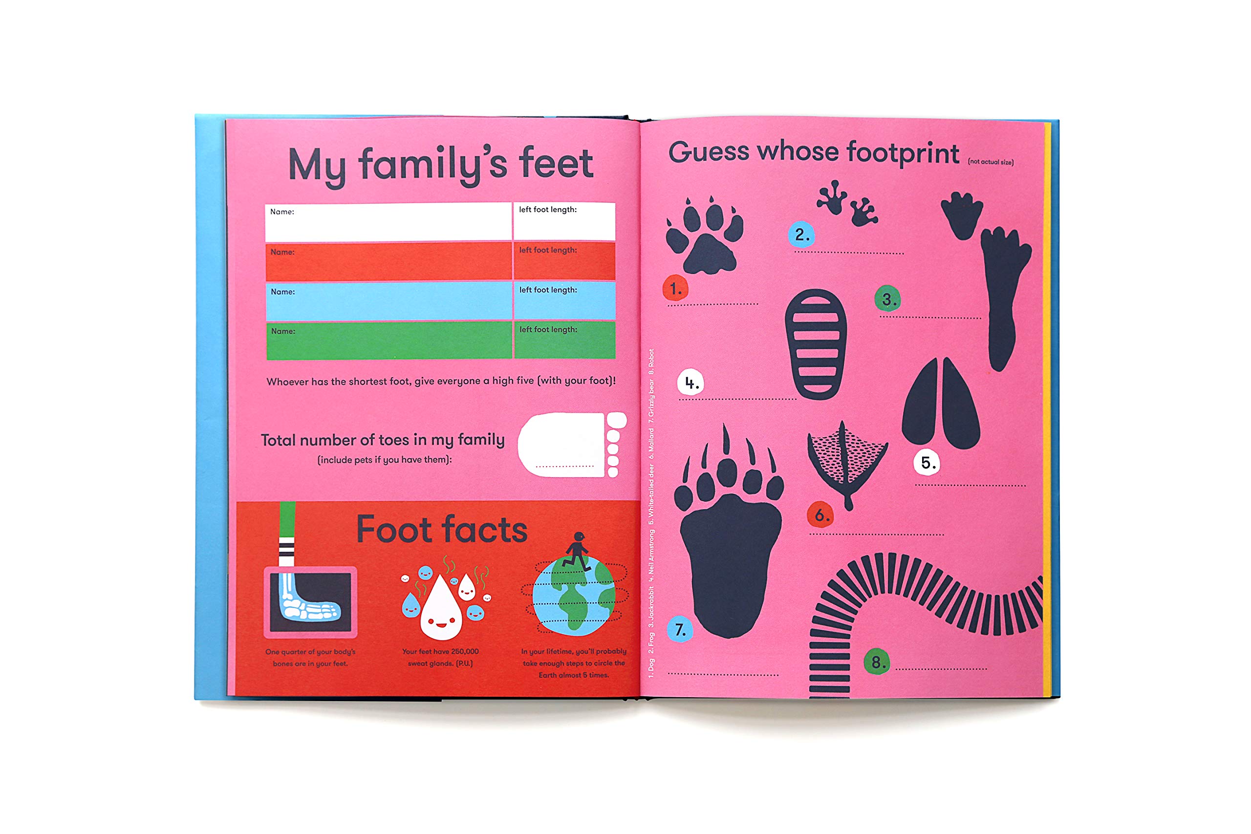 Yay!: My Celebration Journal (Wee Society)