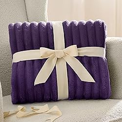 Bedsure GentleSoft Purple Fleece Blanket for Couch