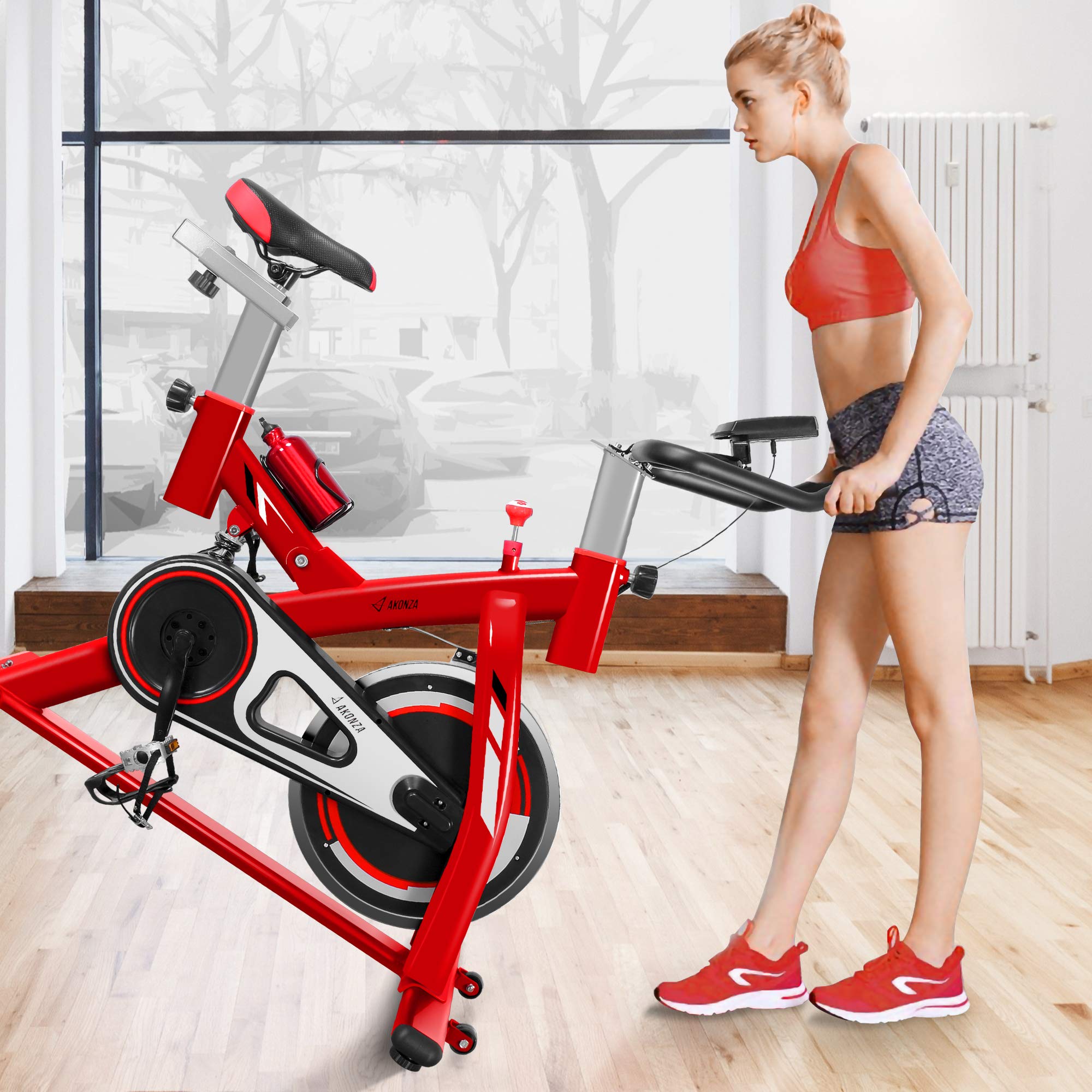 loctek exercise bike