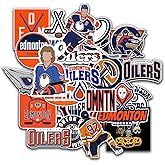 27 PCS American Hockey Stickers for Water Bottle, Laptop, Bicycle, Computer, Motorcycle, Travel Case, Car Decal Decoration Sticker 2-2.5 inches