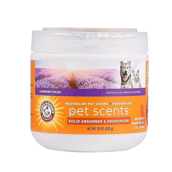 ARM & HAMMER FOR PETS SCENTS SOLID GEL DEODORIZER IN LAVENDER FIELDS SCENT | ROOM DEODORIZER FOR HOMES WITH PETS, ODOR REMOVING GEL FOR PET SMELLS, 15 OUNCES