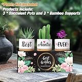 Buioata Auntie Gifts Succulent Planters Set Three Ceramic Pots view 3