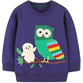 NUBEEHOHO Toddler Girls Sweatshirt Owl Shirts for Girls Winter Long Sleeve Crewneck Pullover Tops Cotton Nighthawk Clothes Baby Girls Owl Sweater 2T