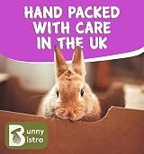 Bunny Bistro Flaked Peas 1kg Natural Dried Pea Flakes Small Animal view 5