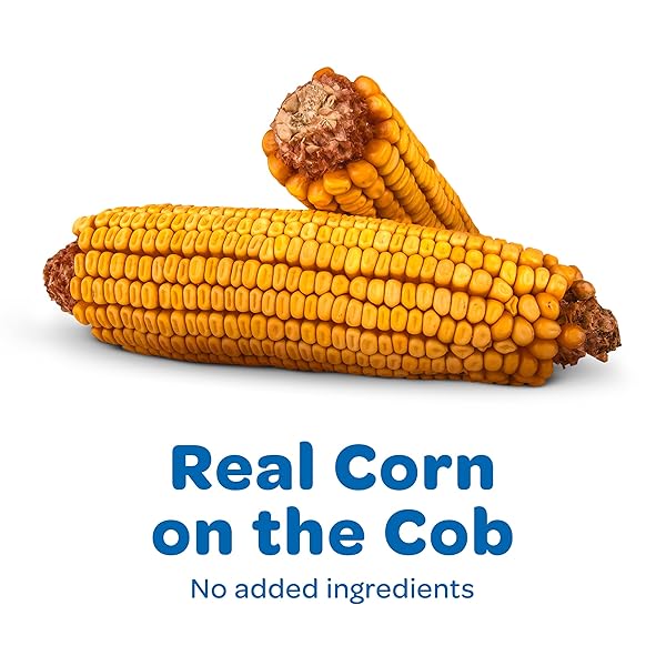 KAYTEE CORN ON THE COB, 6.5 LB