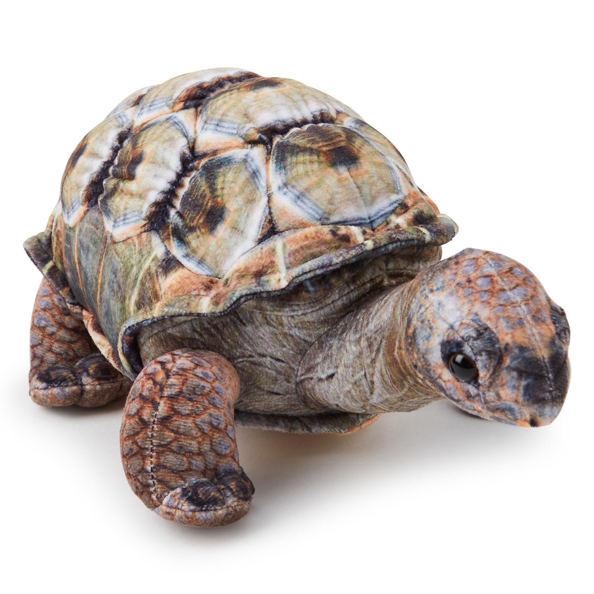 Zappi Co - Children's Realistic Soft Cuddly Plush Toy Animal - Perfect Playtime Companions for Children with Lifelike Detail featured Tiktok (26cm Length) (Aldabra Tortoise)