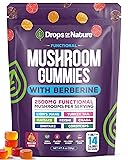 Mushroom Gummies & Berberine Supplement - Lion's