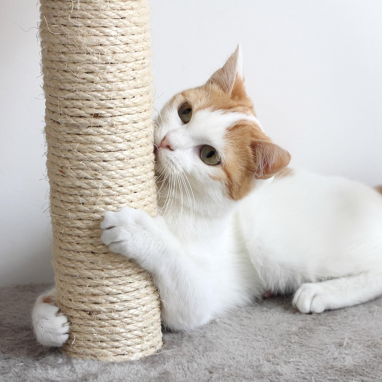 Cat Scratching Posts Adult Cat and Kitten Tree, 3 Large Scratching