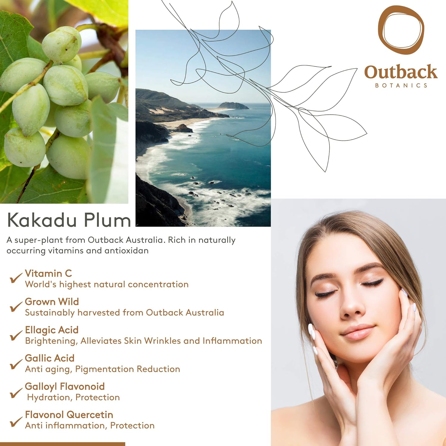 plum anti pigmentation cream