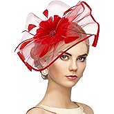Zinniday Vintage Tea Party Hat - 2026 Mesh Kentucky Fascinators Headband Flower Feather Derby Hats for Women Girls