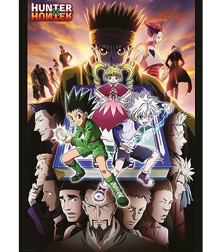 Amazon.com: ABYSTYLE Hunter X Hunter Boxed Poster Set Includes 2
