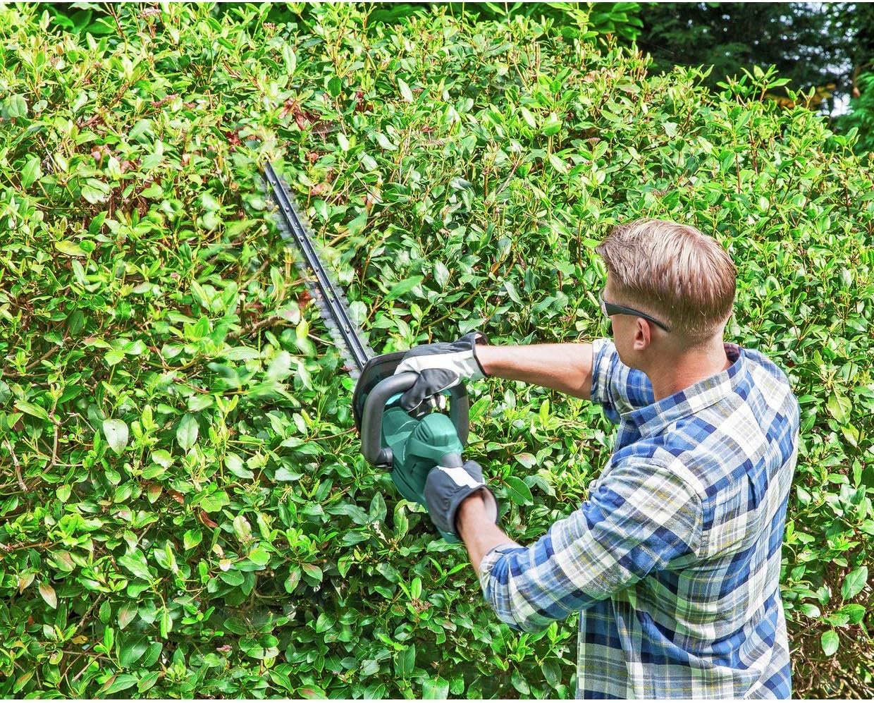 mcgregor 51cm cordless hedge trimmer