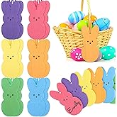 24 Pcs Easter Basket Name Tags Easter Wooden Bunny Hanging Sign Gift Tags Peeps Bunny Wood Cutouts Colorful Blank Rabbit Shape Slices with Rope for Easters Spring Party DIY Art Craft Home Decor