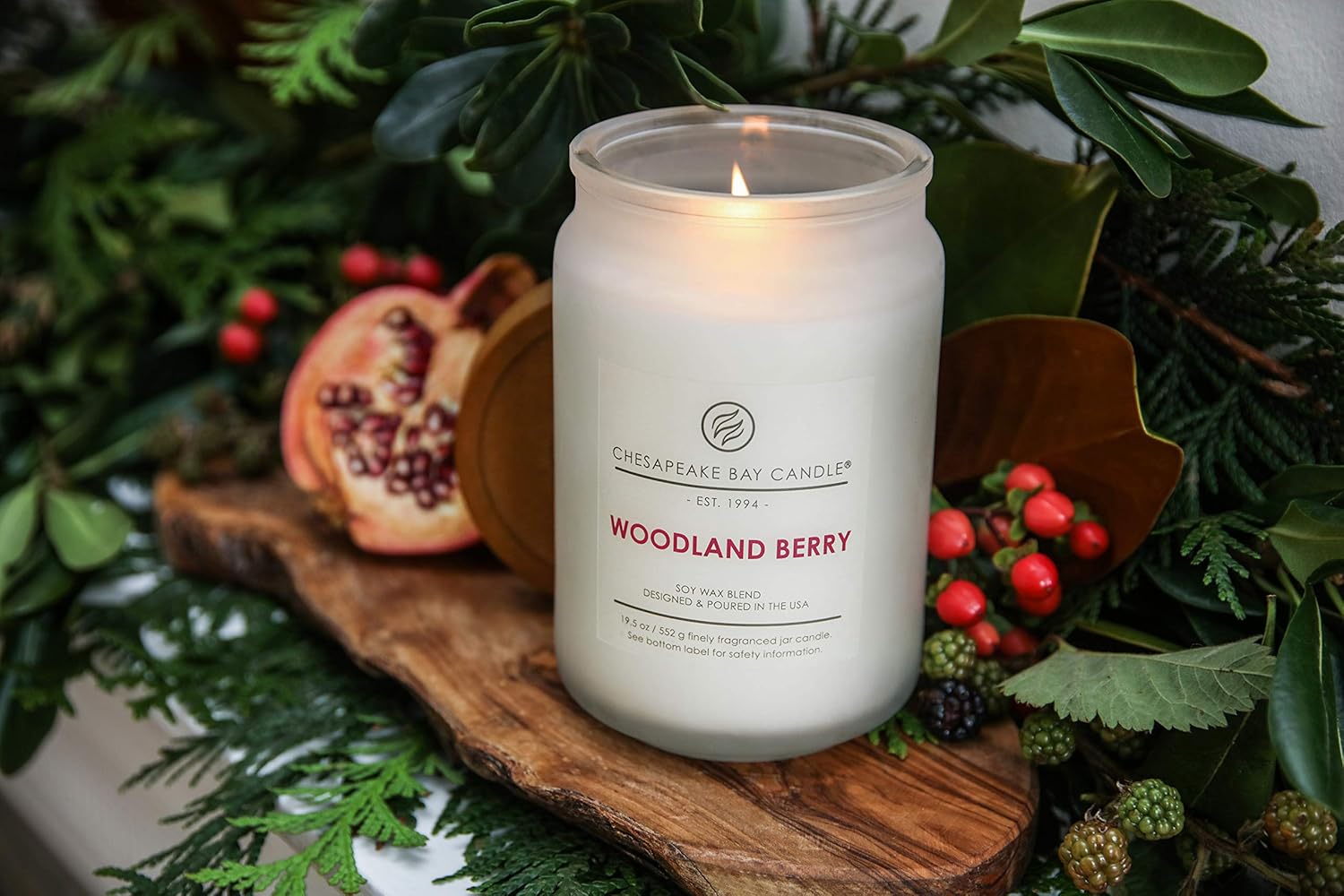 Chesapeake Bay Candle Scented Candle, Cinnamon Spice, Large Jar: Home & Kitchen