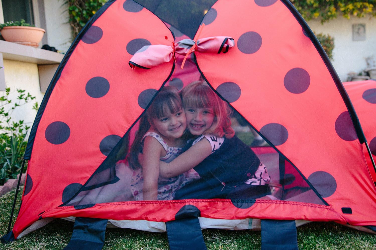 ladybug tent