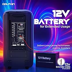 Dolphin 1000W Karaoke Party Speaker with 2 Wireless