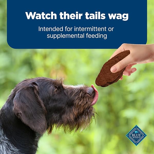 BLUE BUFFALO NUDGES JERKY CUTS DOG TREATS, MADE IN THE USA WITH NATURAL INGREDIENTS, STEAK, 10-OZ BAG