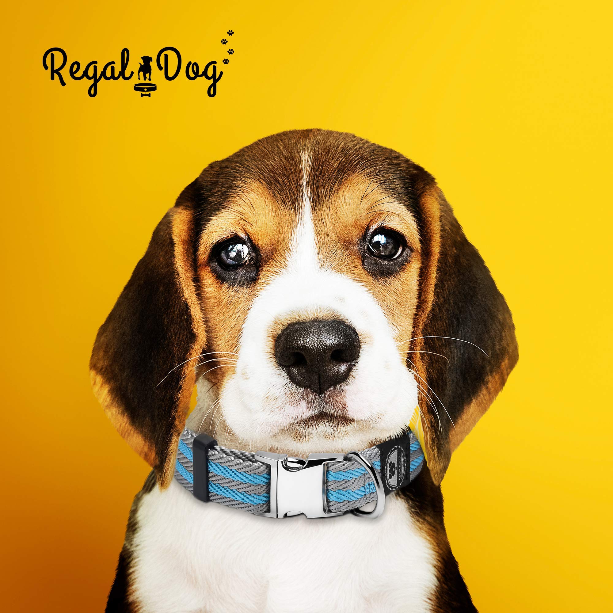 Regal Dog Productsmedium Blue Gray Stripe Pet Collar With Metal