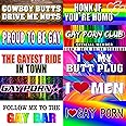 Gay Pride Funny Magnet Bumper Sticker, Rainbow Pride Prank Magnetic Sign for Vehicle Truck Reusable Magnet Sticker for Fridge(10 Styles)