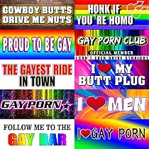 Amazon.com: Gay Pride Funny Magnet Bumper Sticker, Rainbow Pride ...