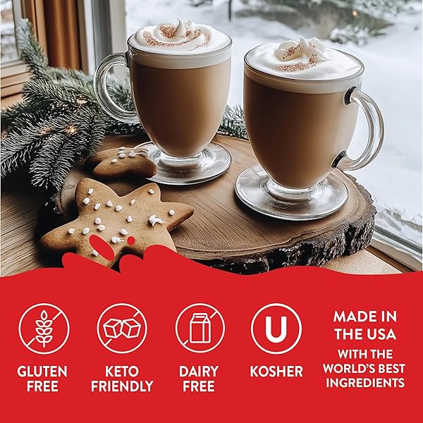 JORDAN’S SKINNY SYRUPS SUGAR FREE COFFEE SYRUP, GINGERBREAD LATTE FLAVOR DRINK MIX, ZERO CALORIE FLAVORING FOR LATTES, PROTEIN SHAKE, FOOD & MORE, GLUTEN FREE, KETO FRIENDLY, 25.4 FL OZ, 1 PACK