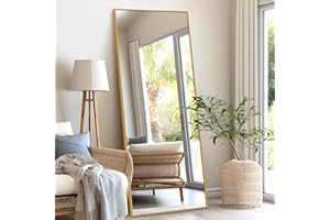 NeuType Full Length Floor Mirror Standing Hanging or Leaning Against Wall, Large Rectangle Bedroom Dressing Mirror Wall-Mounted, Aluminum Alloy Thin Frame, 65"x22"