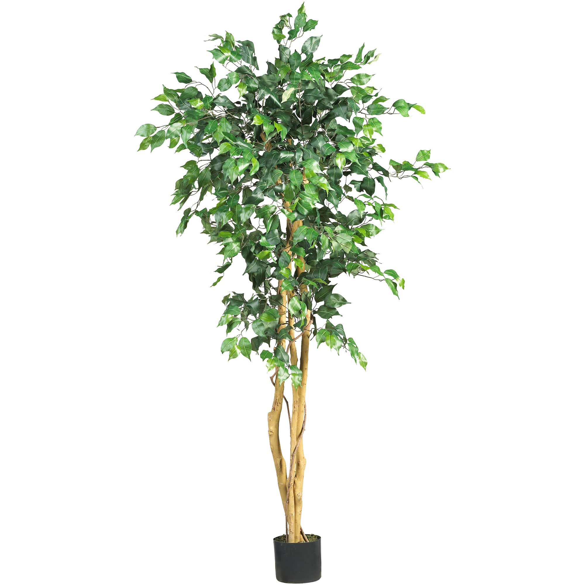 Photo 1 of Nearly Natural 5208 Ficus Artificial Tree with Curved Trunk, 5-Feet, Green