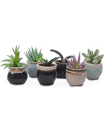Maceteros | Amazon.es