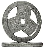 Sporzon! Powergainz Olympic 2-Inch Cast Iron Plate