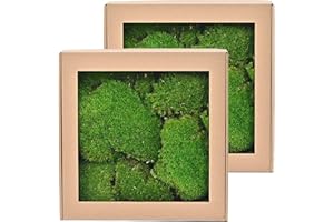 TAIKUU 久の物 2 sq. ft Preserved Moss Pillow Moss, Moss for Potted Plants, Artificial Fake Moss for Fake Plants Indoor, Moss Balls Decor Moss Crafts Terrariums DIY Gardenning Art Wall Decor (Emerald Green)