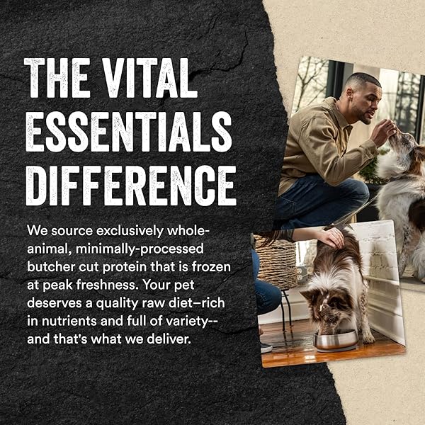 VITAL ESSENTIALS FREEZE DRIED RAW PROTEIN MIX-IN DOG FOOD TOPPER, BEEF MINI NIBS TOPPER FOR DOGS, 6 OZ