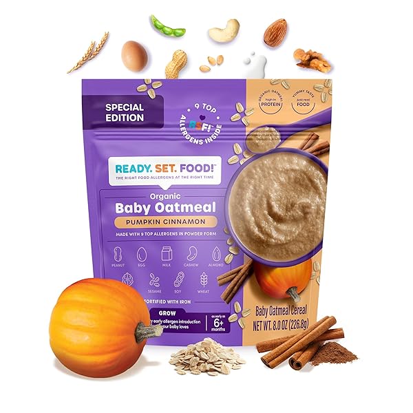 READY SET FOOD ORGANIC BABY OATMEAL CEREAL – SAFE & EASY EARLY ALLERGEN EXPOSURE FOR BABIES 6+ MONTHS, ORGANIC BABY FOOD WITH 9 TOP ALLERGENS: ORGANIC PEANUTS, MILK, EGGS, CASHEWS & MORE (15 SERVINGS) (PUMPKIN CINNAMON)