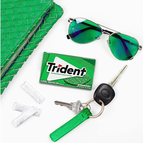 TRIDENT SPEARMINT SUGAR-FREE CHEWING GUM, 14 PIECES (PACK OF 1)