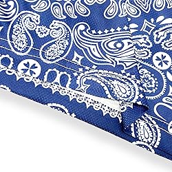 DIOTSR Mens Paisley Graphic Shorts Casual